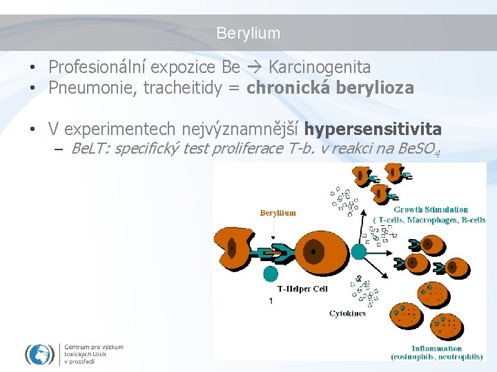 Berylium • Profesionální expozice Be Karcinogenita • Pneumonie, tracheitidy = chronická berylioza • V