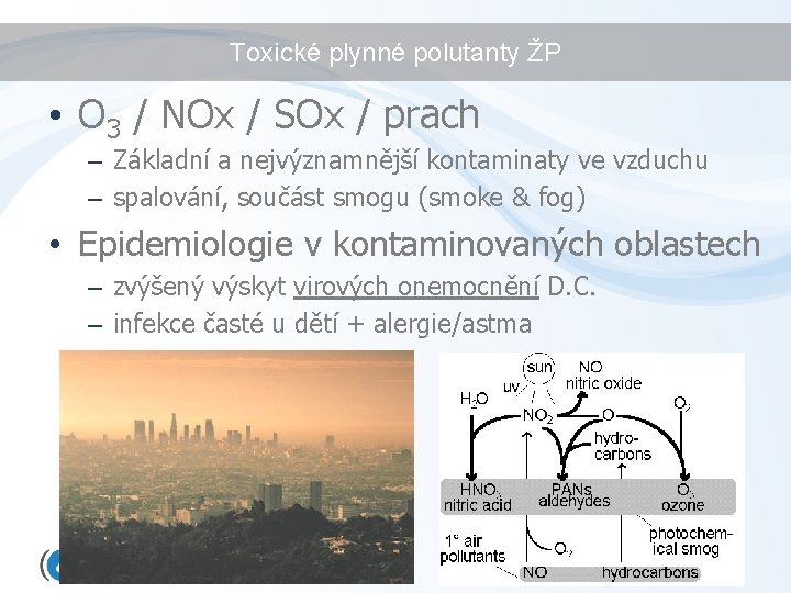 Toxické plynné polutanty ŽP • O 3 / NOx / SOx / prach –