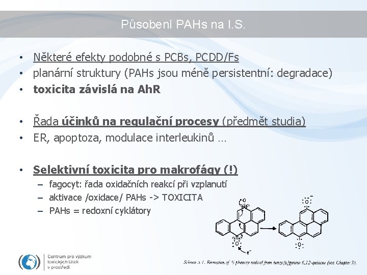 Působení PAHs na I. S. • Některé efekty podobné s PCBs, PCDD/Fs • planární