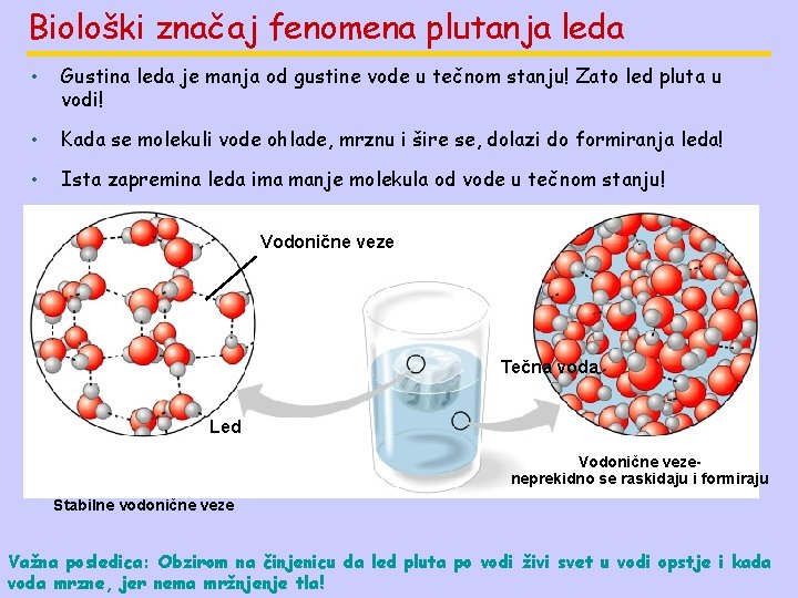 Biološki značaj fenomena plutanja leda • Gustina leda je manja od gustine vode u