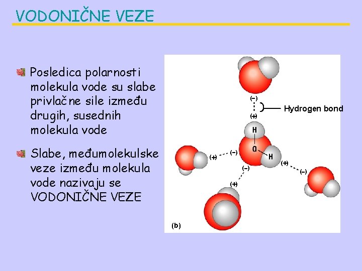 VODONIČNE VEZE Posledica polarnosti molekula vode su slabe privlačne sile između drugih, susednih molekula VODONIČNE VEZE Posledica polarnosti molekula vode su slabe privlačne sile između drugih, susednih molekula