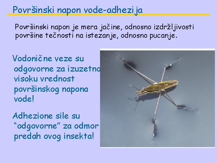 Površinski napon vode-adhezija Površinski napon je mera jačine, odnosno izdržljivosti površine tečnosti na istezanje,