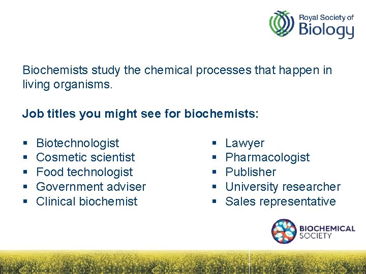 Biochemists study the chemical processes that happen in living organisms. Job titles you might