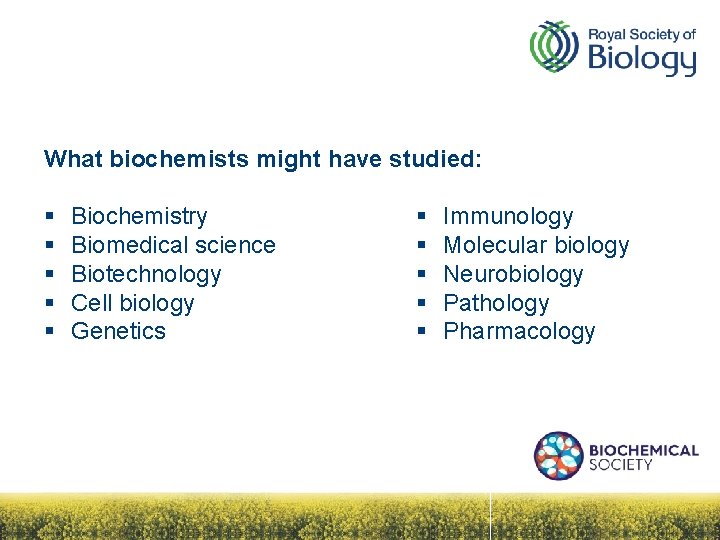 What biochemists might have studied: § § § Biochemistry Biomedical science Biotechnology Cell biology