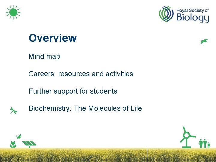 Overview Mind map Careers: resources and activities Further support for students Biochemistry: The Molecules