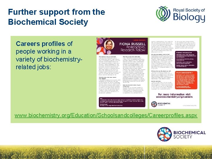 Further support from the Biochemical Society Careers profiles of people working in a variety