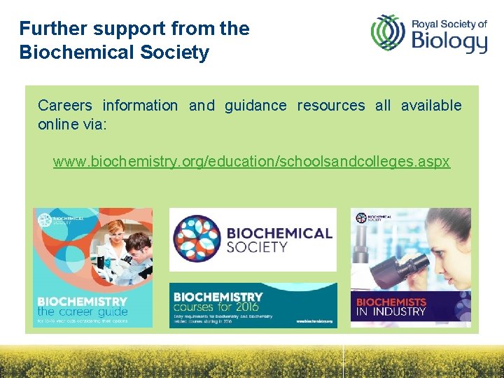 Further support from the Biochemical Society Careers information and guidance resources all available online