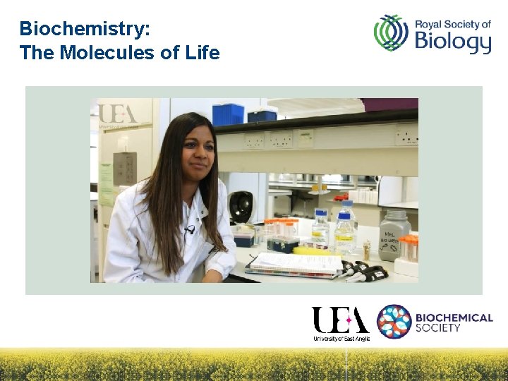 Biochemistry: The Molecules of Life 