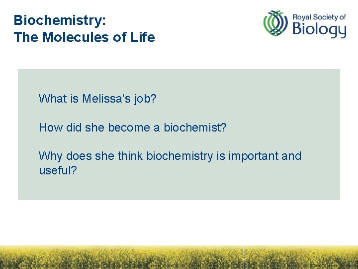 Biochemistry: The Molecules of Life What is Melissa’s job? How did she become a