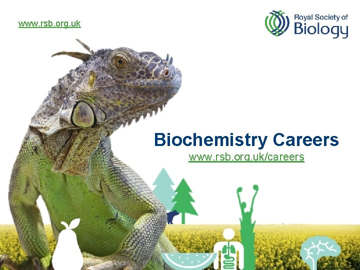 www. rsb. org. uk Biochemistry Careers www. rsb. org. uk/careers 