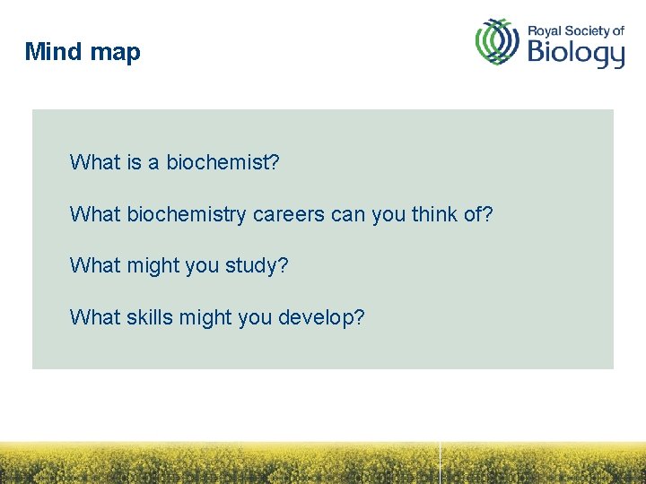 Mind map What is a biochemist? What biochemistry careers can you think of? What