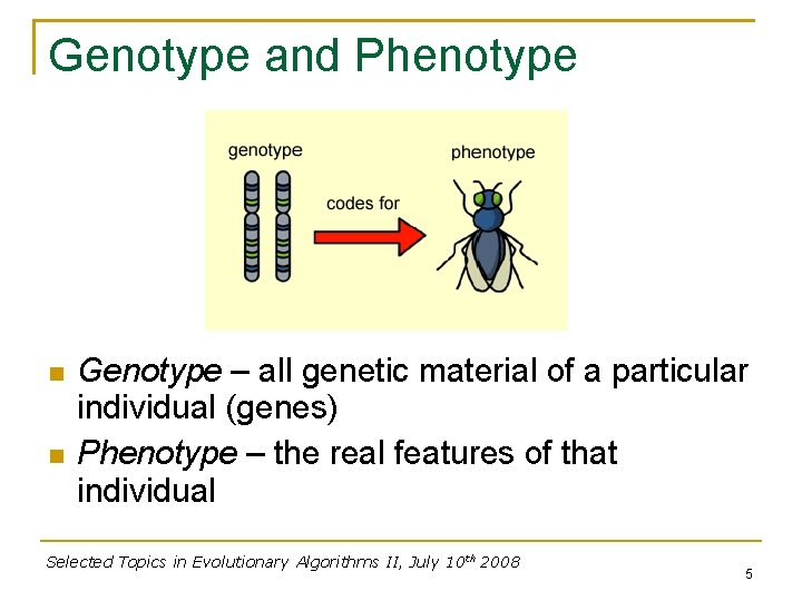 Genotype and Phenotype Genotype – all genetic material of a particular individual (genes) Phenotype