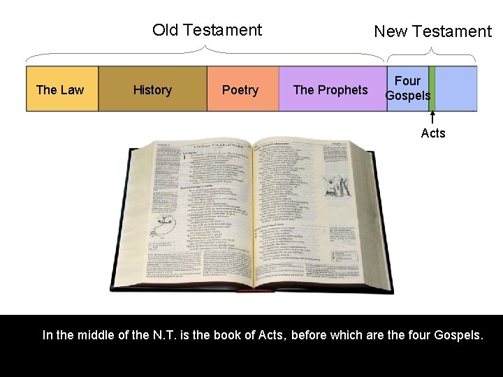 Old Testament The Law History Poetry New Testament The Prophets Four Gospels Acts In