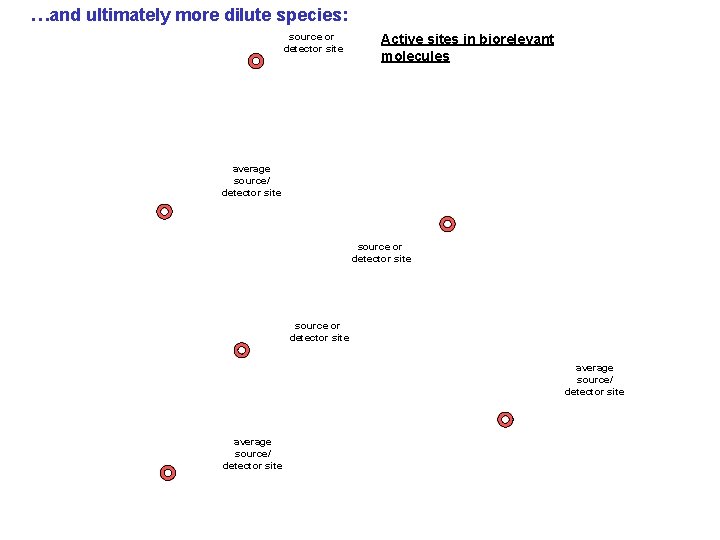 …and ultimately more dilute species: source or detector site Active sites in biorelevant molecules