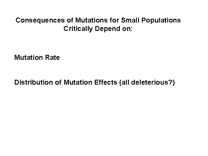 Consequences of Mutations for Small Populations Critically Depend on: Mutation Rate Distribution of Mutation