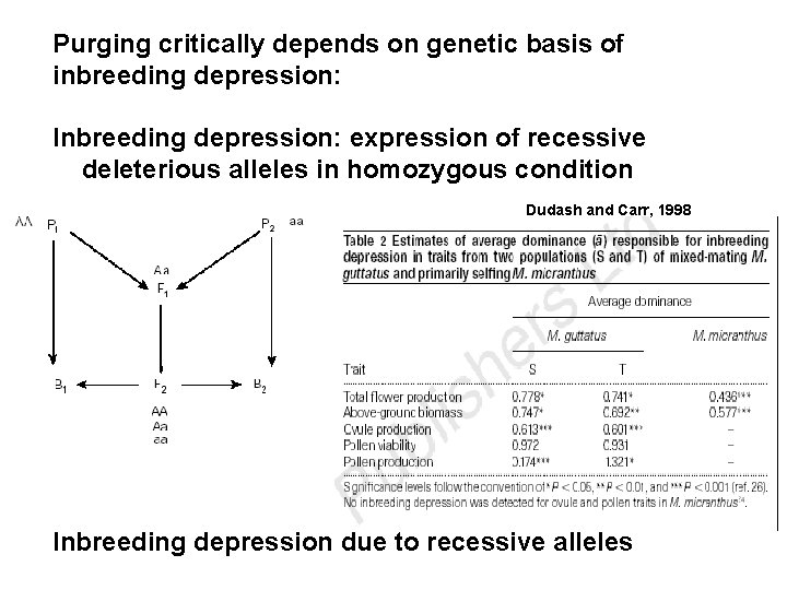 Purging critically depends on genetic basis of inbreeding depression: Inbreeding depression: expression of recessive