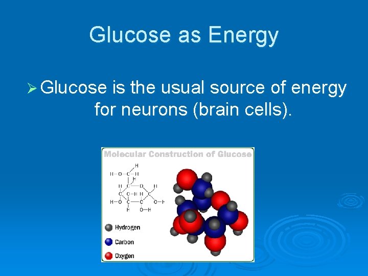 Glucose as Energy Ø Glucose is the usual source of energy for neurons (brain