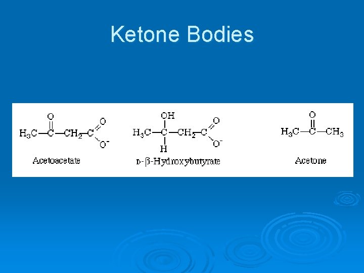 Ketone Bodies 