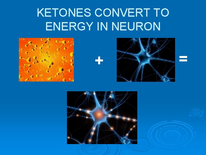 KETONES CONVERT TO ENERGY IN NEURON + = 