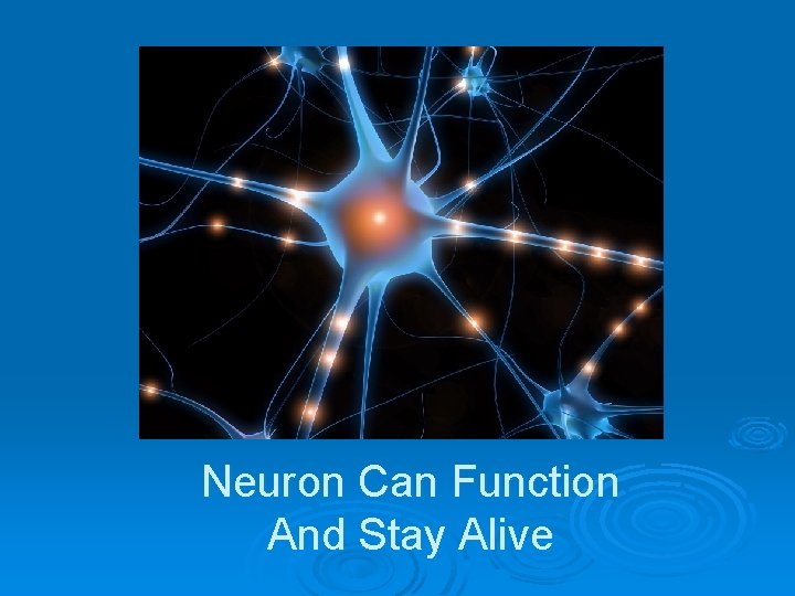 Neuron Can Function And Stay Alive 