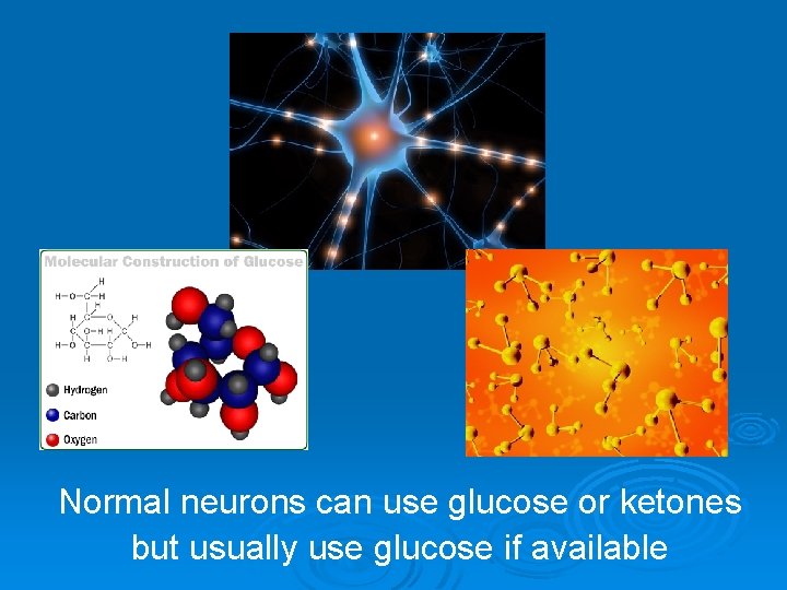 Normal neurons can use glucose or ketones but usually use glucose if available 