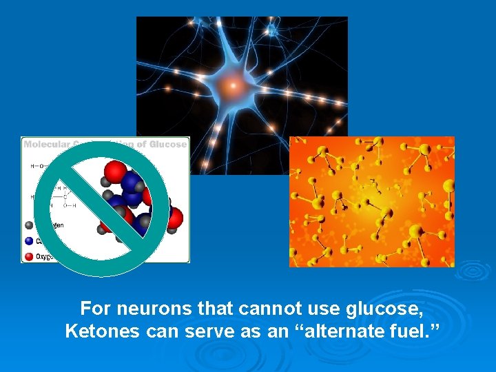 For neurons that cannot use glucose, Ketones can serve as an “alternate fuel. ”