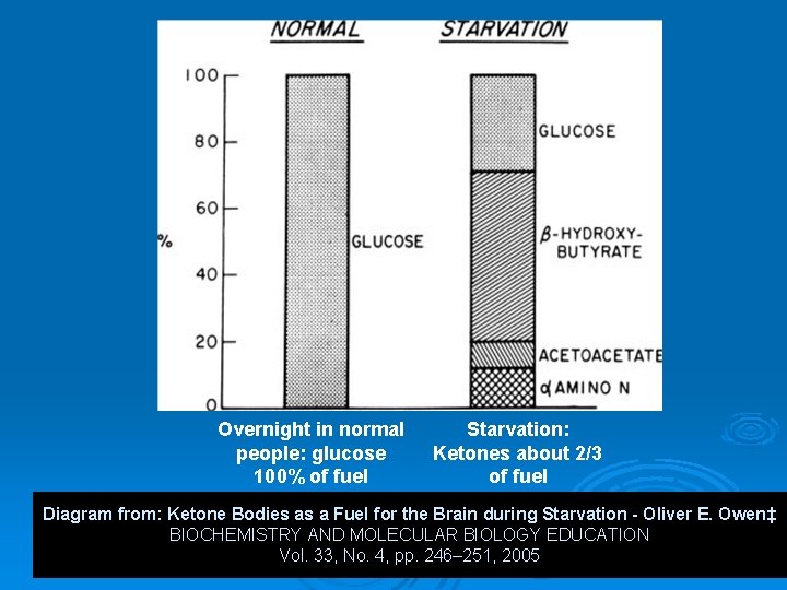 Overnight in normal people: glucose 100% of fuel Starvation: Ketones about 2/3 of fuel