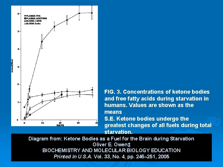 FIG. 3. Concentrations of ketone bodies and free fatty acids during starvation in humans.