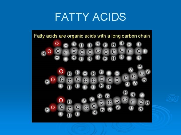 FATTY ACIDS 