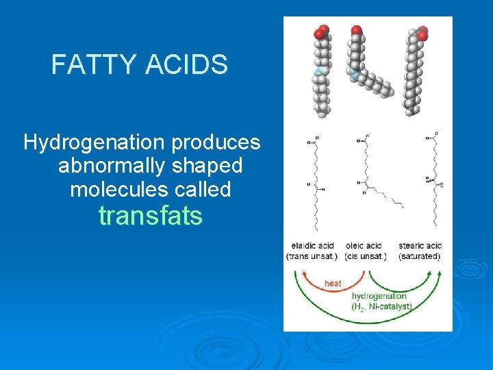 FATTY ACIDS Hydrogenation produces abnormally shaped molecules called transfats 