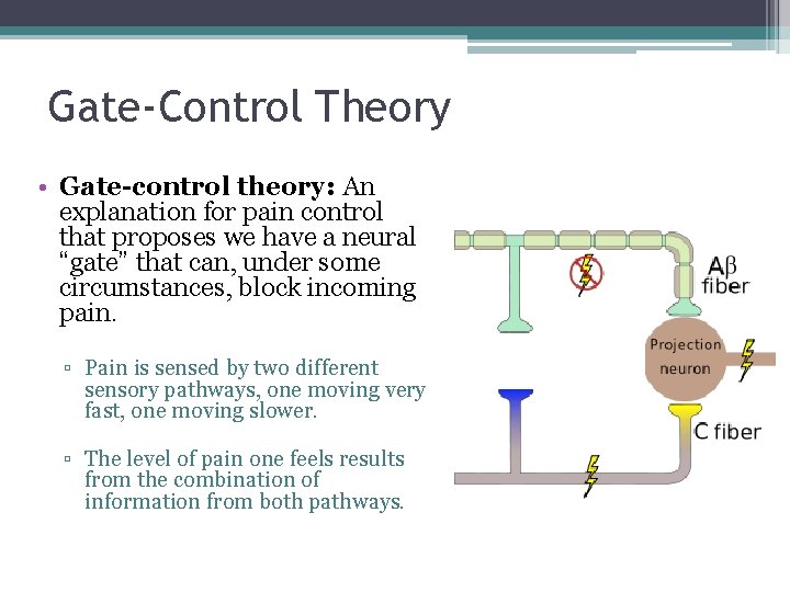 Gate-Control Theory • Gate-control theory: An explanation for pain control that proposes we have