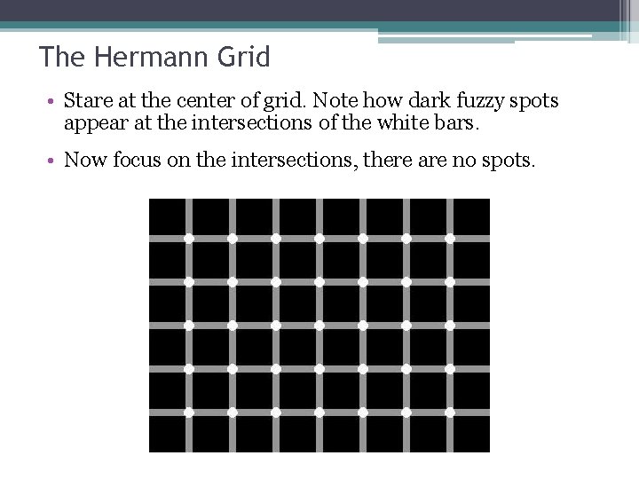 The Hermann Grid • Stare at the center of grid. Note how dark fuzzy