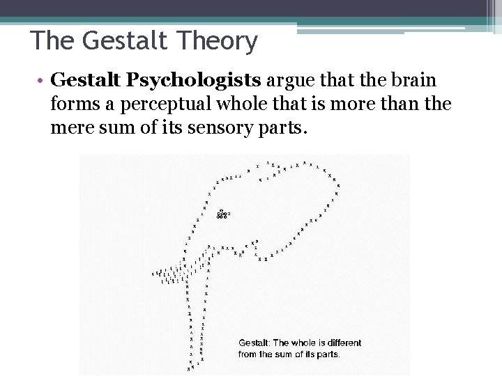 The Gestalt Theory • Gestalt Psychologists argue that the brain forms a perceptual whole