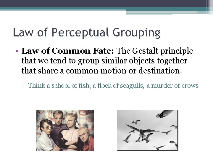 Law of Perceptual Grouping • Law of Common Fate: The Gestalt principle that we