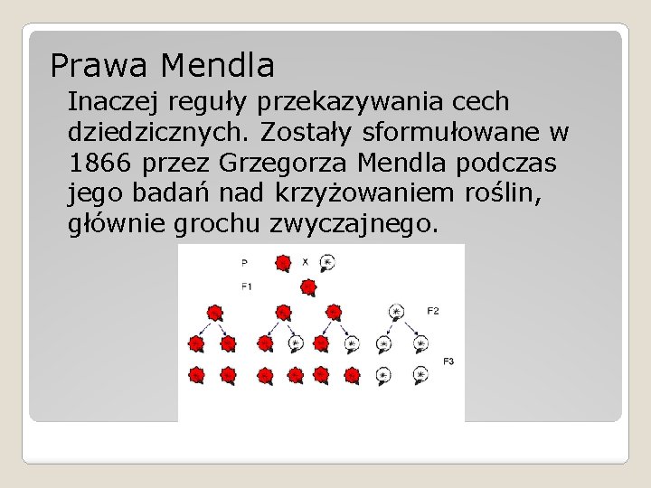 Prawa Mendla Inaczej reguły przekazywania cech dziedzicznych. Zostały sformułowane w 1866 przez Grzegorza Mendla