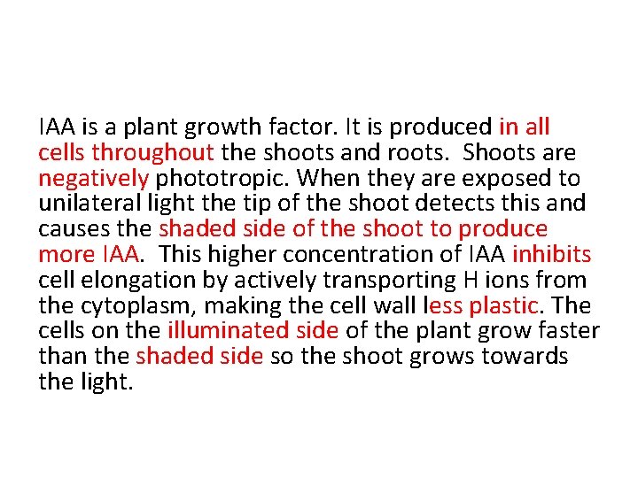 IAA is a plant growth factor. It is produced in all cells throughout the