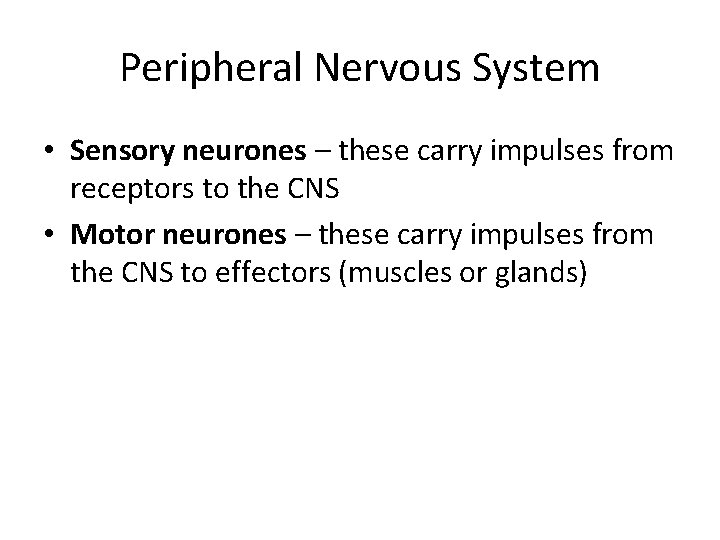 Peripheral Nervous System • Sensory neurones – these carry impulses from receptors to the