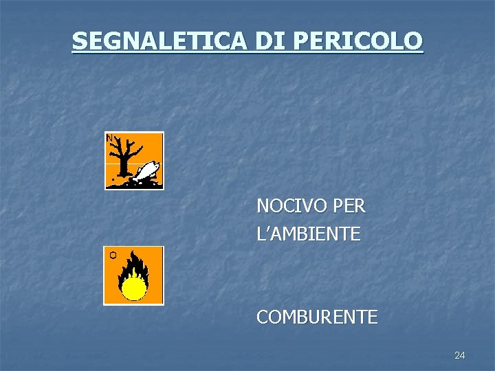 SEGNALETICA DI PERICOLO NOCIVO PER L’AMBIENTE COMBURENTE 24 