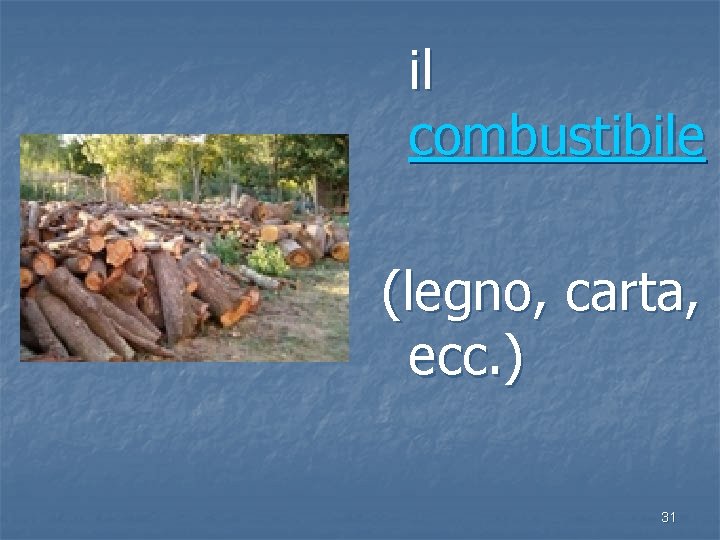 il combustibile (legno, carta, ecc. ) 31 