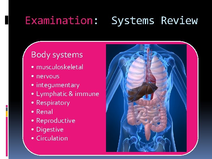 Examination: Body systems • musculoskeletal • nervous • integumentary • Lymphatic & immune •