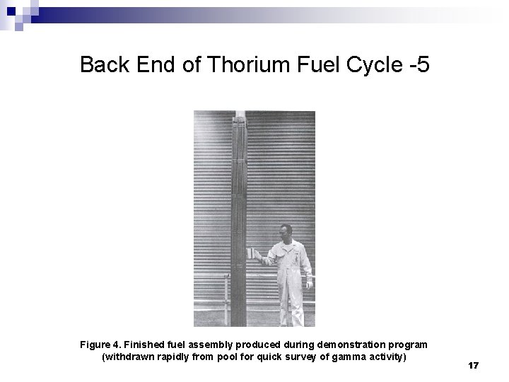 Back End of Thorium Fuel Cycle -5 Figure 4. Finished fuel assembly produced during