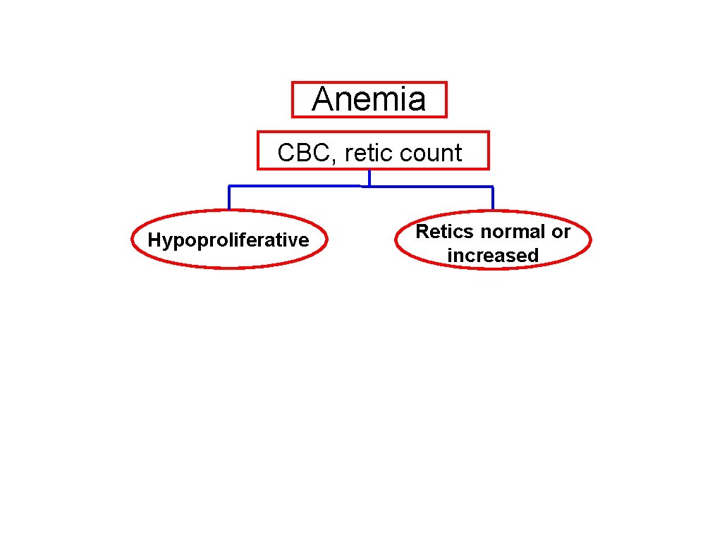 Anemia CBC, retic count Hypoproliferative Retics normal or increased 