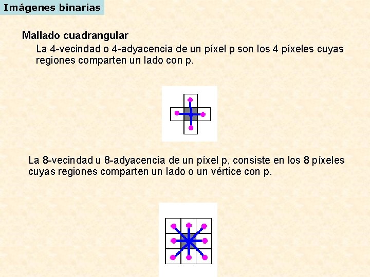 Imágenes binarias Mallado cuadrangular La 4 -vecindad o 4 -adyacencia de un píxel p