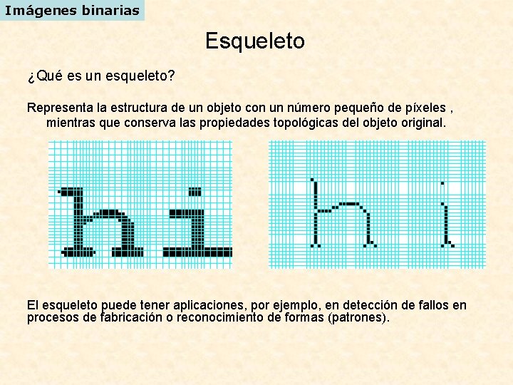 Imágenes binarias Esqueleto ¿Qué es un esqueleto? Representa la estructura de un objeto con