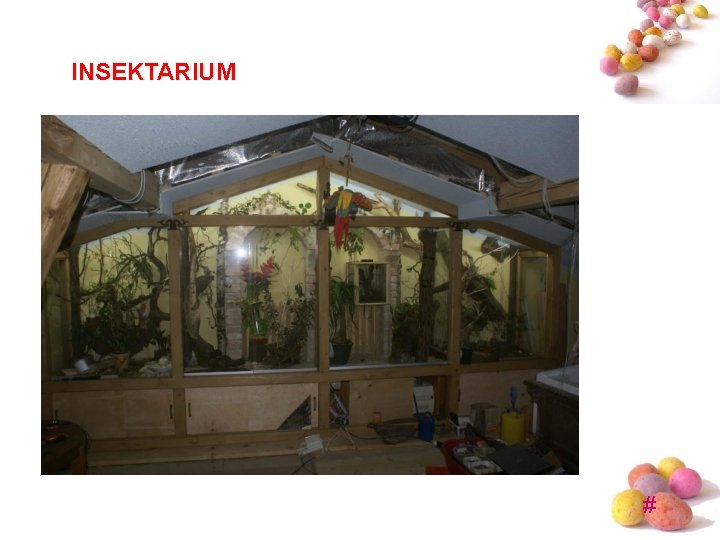 INSEKTARIUM # INSEKTARIUM #