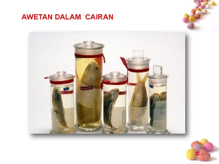 AWETAN DALAM CAIRAN # AWETAN DALAM CAIRAN #