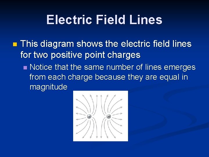Electric Field Lines n This diagram shows the electric field lines for two positive