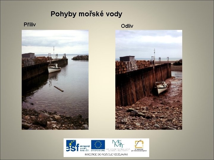 Pohyby mořské vody Příliv Odliv 