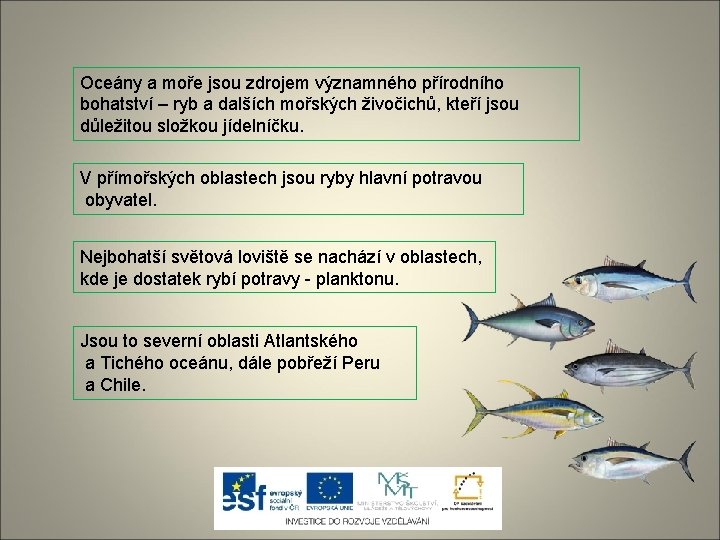 Oceány a moře jsou zdrojem významného přírodního bohatství – ryb a dalších mořských živočichů,