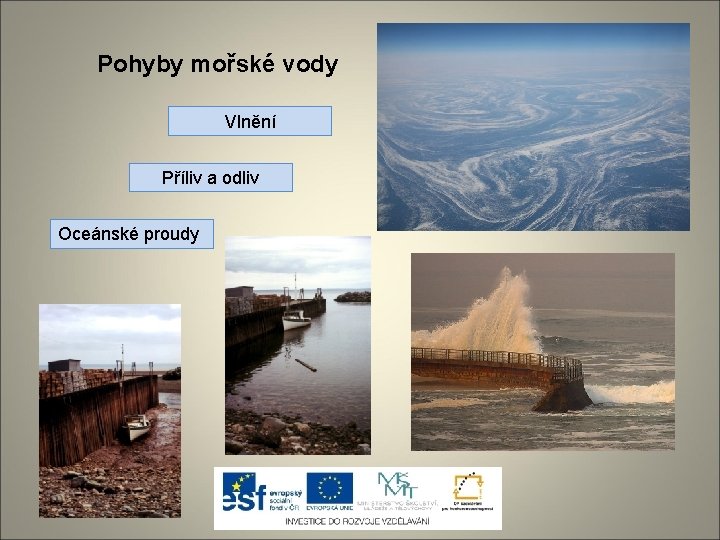 Pohyby mořské vody Vlnění Příliv a odliv Oceánské proudy 